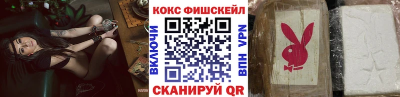 mega рабочий сайт shop формула COCAIN Fish Scale Котельниково