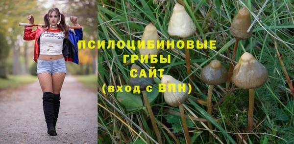 прущие крисы Баксан