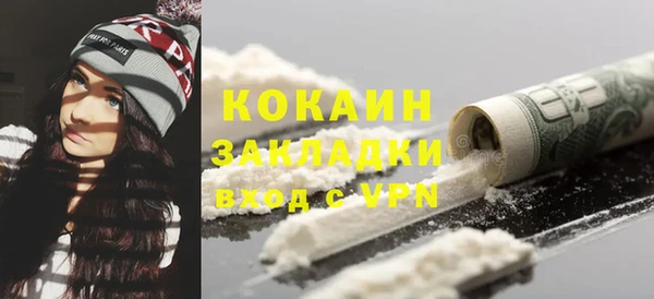 индика Балахна