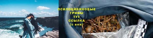 прущие крисы Баксан