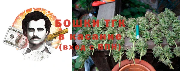 индика Балахна