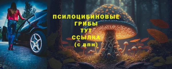 прущие крисы Баксан