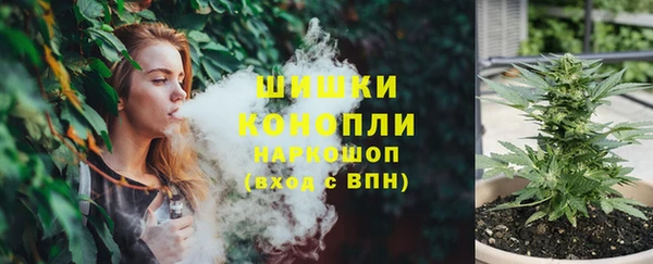 индика Балахна