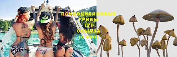 индика Балахна